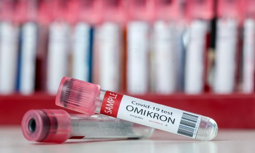 Proizvođači počinju raditi na cjepivu za omikron, Rusija vjeruje u Sputnjik