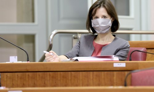 [FOTO] Svađa u Saboru oko sukoba interesa; HDZ-ovci s jedne i Zekanović s druge strane napali Daliju Orešković, ona uzvraća 'Da nije bilo naše odluke, Plenković ne bi bio premijer'