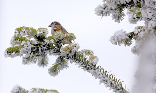 Stiže razvedravanje, ali i zahlađenje: Pogledajte što predviđa prognoza za petak