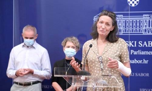 Raukar: Nakon izvješća i Hrvoj Šipek i Marušić moraju odstupiti