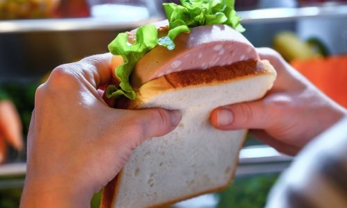 Iz Studenca povučeni talijanski proteinski sendviči zbog prisustva bakterije