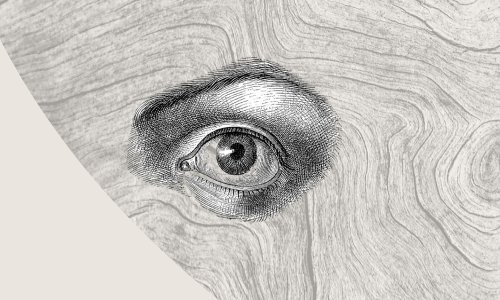 Filmaktiv i Udruga gluhih i nagluhih PGŽ-a kampanjom 'Inkluzija nas spaja' obilježili su Međunarodni dan osoba s invaliditetom