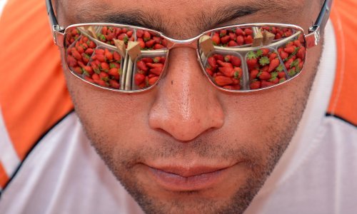 Jedemo uvozno: Opet raste deficit u proizvodnji hrane, provjerili smo jesmo li barem u nečemu pokrili domaće potrebe