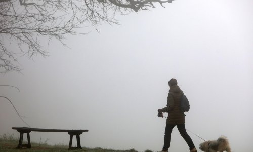 Prijatelji životinja: 10.000 napuštenih životinja godišnje, ne kupujmo ih