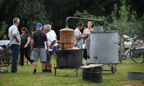 Sabor predložio ukidanje trošarine za male proizvođače jakih alkoholnih pića