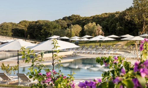 Burza u crvenom, prvi dan trgovanja dionicom Mon Perina