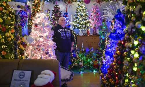 [FOTO] Lud za Božićem: Opsjednuti Nijemac u stan smjestio 444 jelke