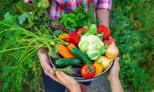 Odlična ideja vrijedna pažnje: Postoji koncept najma organskih vrtova!
