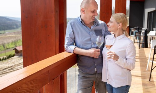 USKOK i OLAF istražuju i Tomislava Tolušića zbog istih ugovora kao i Žalac, a svi se pitaju - kako je došao do vinarije?