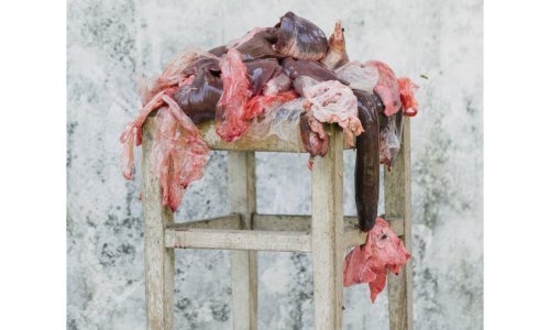 Najavljena je kazališna predstava 'Homesick' prema motivima fotografija Denisa Butorca