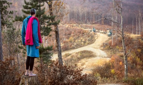 MSU najavljuje otvorenje izložbe 'Šuma To Go' Demirela Pašalića i Azre Svedružić