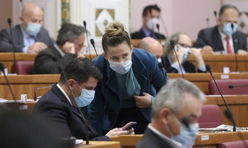 [VIDEO] Grmoja zaboravio isključiti mikrofon, snimljeno što je rekao Selak Raspudić: Ovo smo jako loše napravili, okrenuli smo sve protiv sebe