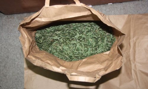 Kod trojice u Konavlima policija pronašla gotovo tri kilograma marihuane i 230 grama kokaina