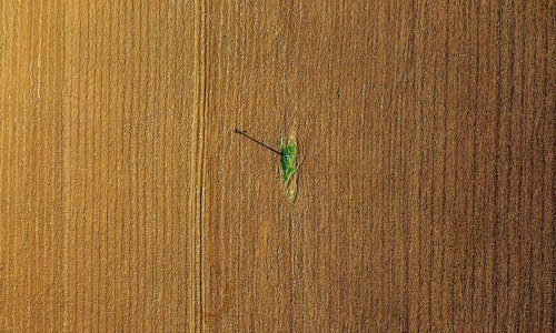 Prosječna cijena zakupa poljoprivrednog zemljišta lani blago porasla