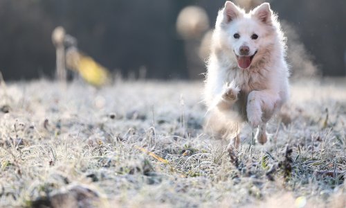 Kiša, snijeg... Pogledajte kakvo nas vrijeme očekuje na početku zadnjeg tjedna u godini