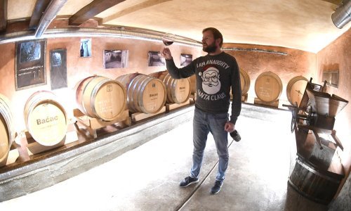 Goran Baćac, mladi vinar u usponu za kojeg su Kukurini centar svijeta