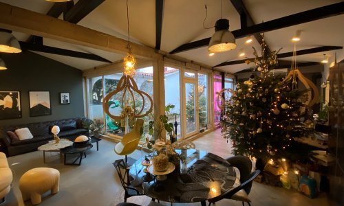 Božićni cirkus u domu Dragane Sapanjoš