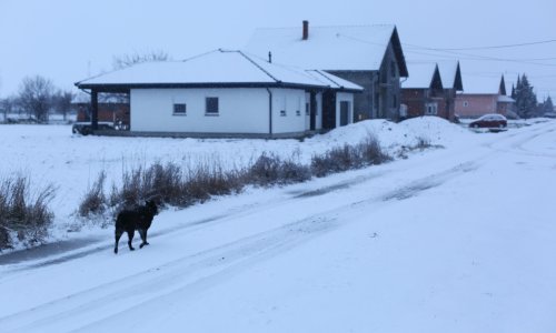 [FOTOGALERIJA] Slavoniju noćas zabijelio prvi ovogodišnji snijeg, ljubitelji ove padaline napokon su došli na svoje