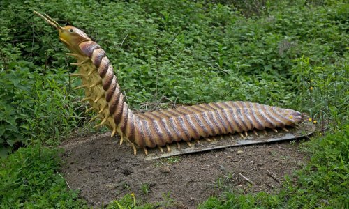 Otkriven najveći fosil divovske dvojenoge, evo što je nekad gmizalo Engleskom