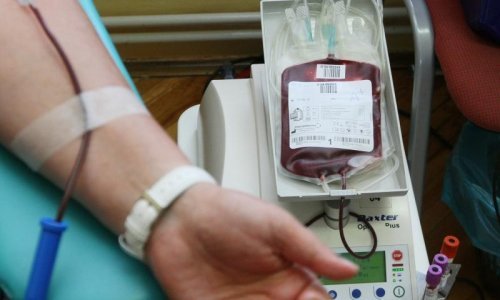 Značajno raste broj darovateljica krvi u Hrvatskoj