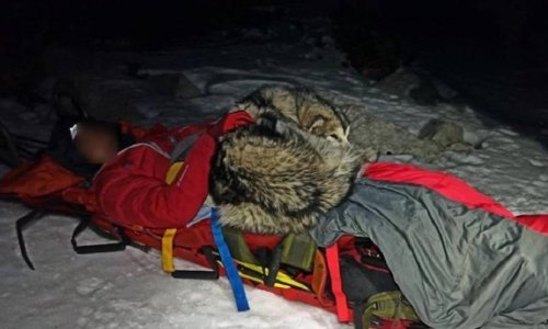 Pas nastradalog planinara na Velebitu grijao svojim tijelom sve do dolaska HGSS-a