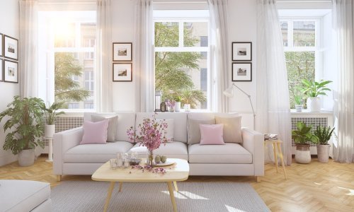 Kako pronaći savršeno mjesto za sobnu biljku? Obratite pažnju na količinu, ali i vrstu svjetlosti