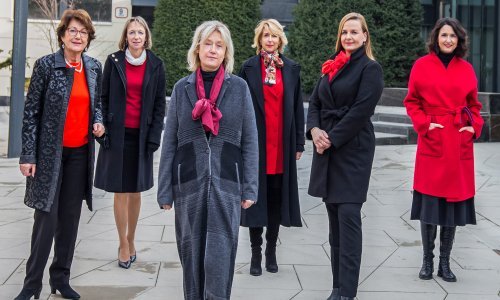 Znate li da je u Hrvatskoj moždani udar drugi uzrok smrtnosti, a od toga je oko 60 posto žena?