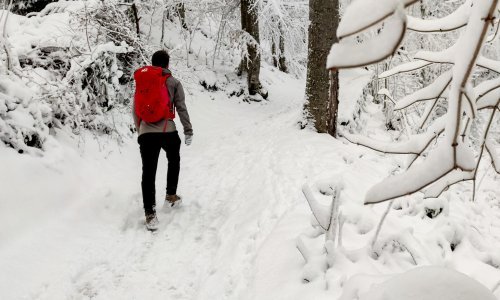 [VIDEO/FOTO] Prvi ovogodišnji snijeg zabijelio Hrvatsku, pogledajte kako pod bijelim pokrivačem izgledaju Medvednica, Rastoke...