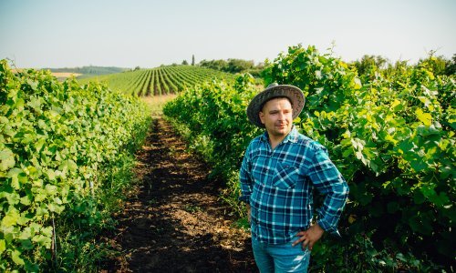 Vodi se borba: Dokazat ćemo u Europi da prošek i prosecco nisu isto