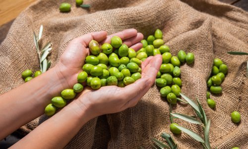 Projekt 'Od polja do stola': Vrijeme je da zaštitimo tradicionalne hrvatske proizvode