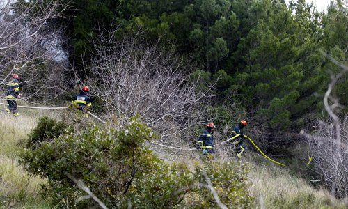 Još gori u Lokvi Rogoznici; vatra progutala 100 hektara borove šume