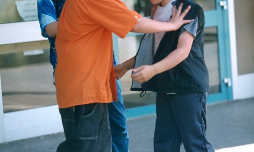 Maloljetnik iz mržnje glavom udario drugog maloljetnika i pokušao ga udariti palicom