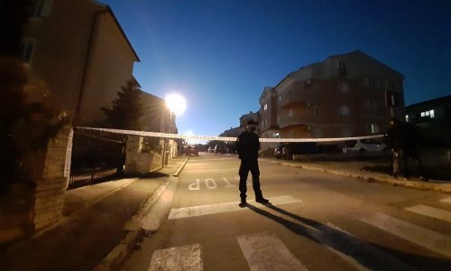 Žrtve ubojstva su Nada i Dario Bašić, dugogodišnji rukovoditelj u Uljaniku. Ubojica je njihov sin Vedran