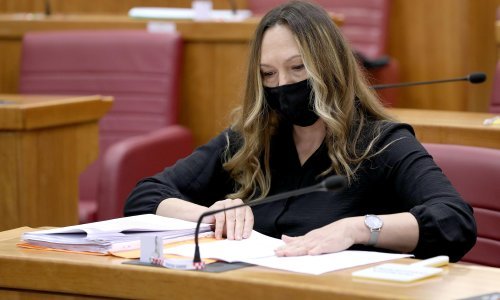 Vukovac: Napustila sam DP zbog neslaganja s načinom na koji je izbačen Škoro, veliki dio ljudi mi zamjera što nisam ostala uz njega