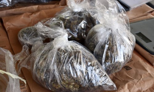 Mladiću u stanu u Makarskoj policija otkrila 800 grama marihuane