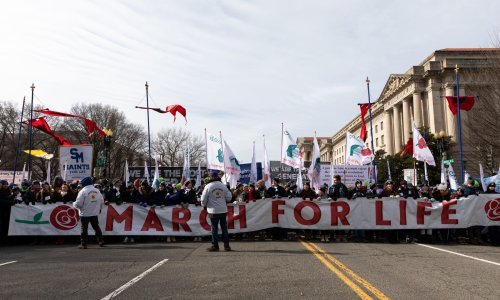 Prosvjed protiv prava na pobačaj u Washingtonu