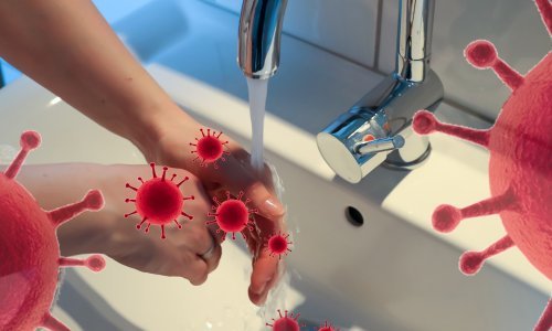 Omikron iznimno stabilan u okolišu: Na plastici i ljudskoj koži preživljava dulje od ostalih sojeva