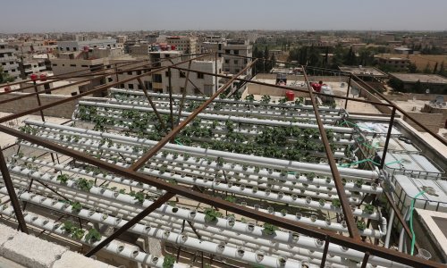 Hrana će nam dolaziti i s gradskih krovova