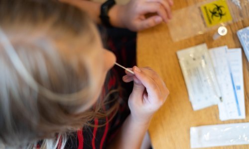 Covid testiranje 'na dobrovoljnoj bazi': U škole stiže 2,8 milijuna testova, roditelji će ih preuzimati
