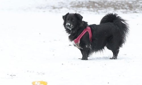 Vrijeme u petak: Bit će kiše, najviše u Dalmaciji. U Slavoniji snijeg