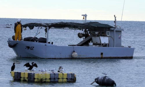 Slovenski parlamentarci iza zatvorenih vrata o 'ribolovnom sporazumu' s Hrvatskom