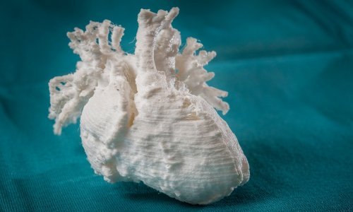 Nakon rijetke postcovid bolesti u djece srce se vraća u normalu