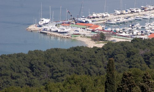 Borove na Marjanu osušila ekstremna klima?
