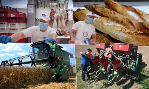 Nakon najskuplje sjetve u povijesti Hrvatsku čeka novi val poskupljenja hrane: 'Problem će kulminirati, s nesagledivim posljedicama'