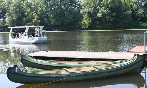 Najugroženiji ekosustavi na Zemlji nestaju tri puta brže od šuma, a iznimno su važni u obrani od poplava