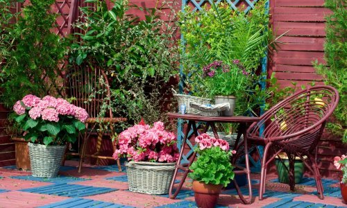 Za prekrasan i rascvjetan vrt: Ovo cvijeće je najbolje posaditi u rano proljeće