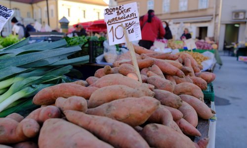 Smarter: Udruživanje poljoprivrednika treba biti strateški cilj