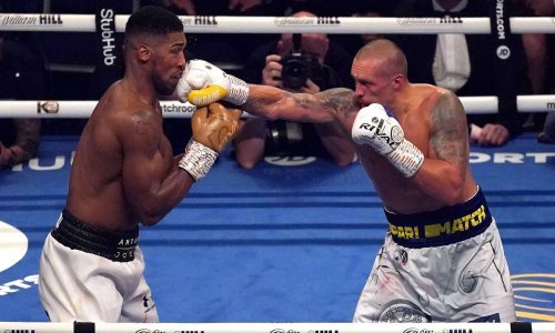 Poznato je kad Joshua i Usik ponovno ulaze u ring, a evo što to znači za Filipa Hrgovića i njegove ambicije