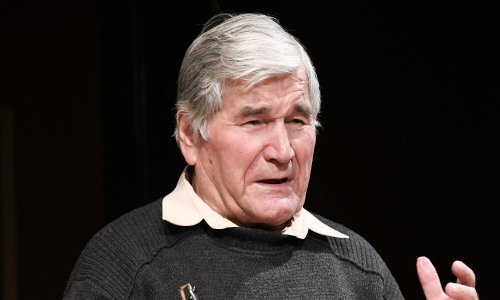 Preminuo književnik Josip Palada