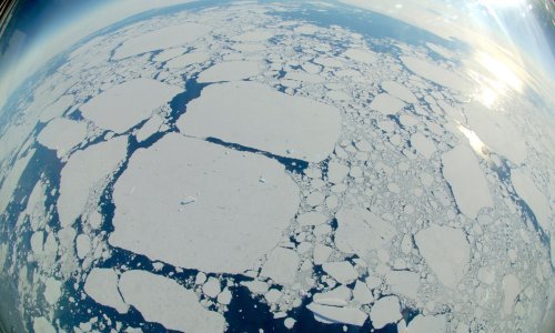 Studija otkriva: Antarktički mikrobi koji jedu gorivo mogli bi pomoći u čišćenju plastike